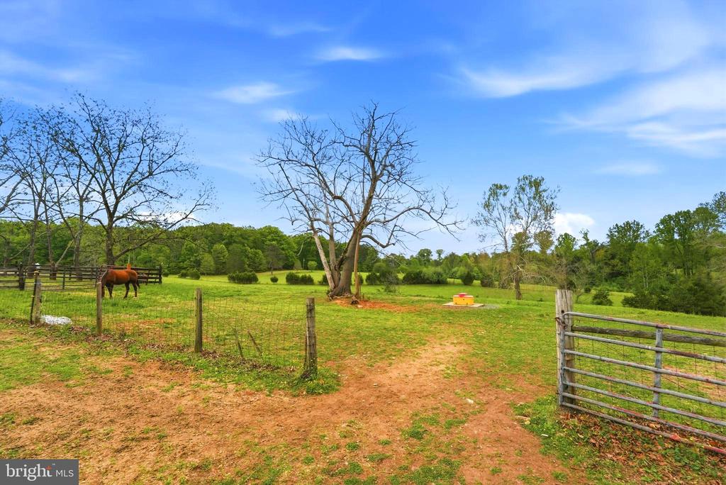 481 JAMES CITY RD, REVA, Virginia 22735, 3 Bedrooms Bedrooms, ,3 BathroomsBathrooms,Residential,481 JAMES CITY RD,VAMA2002710 MLS # VAMA2002710