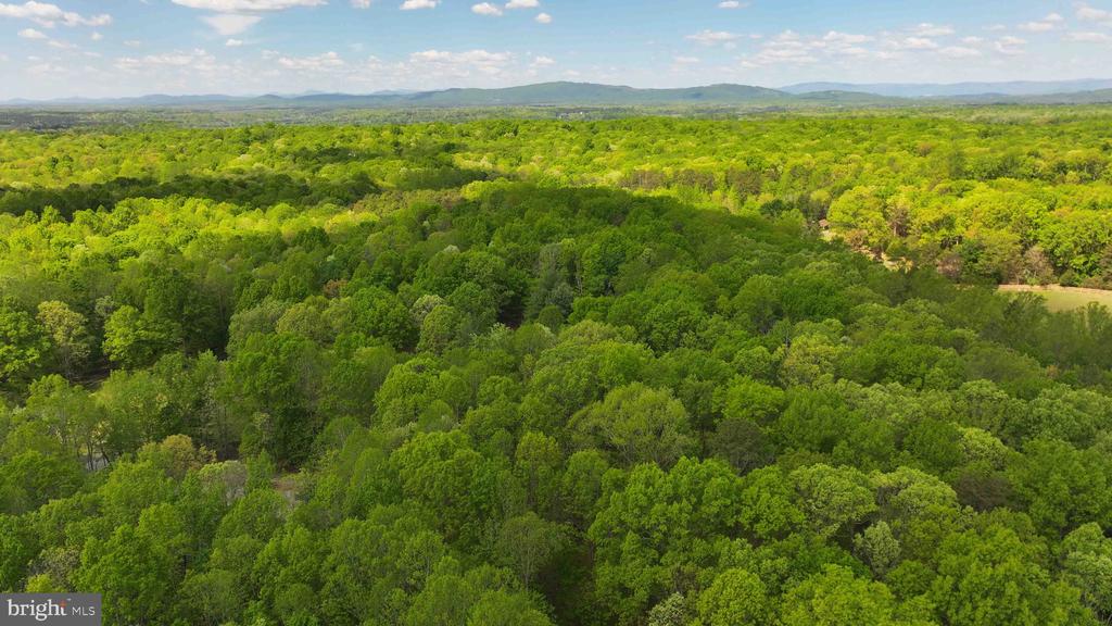 204 UNION MILLS RD, TROY, Virginia 22974, 3 Bedrooms Bedrooms, ,1 BathroomBathrooms,Residential,204 UNION MILLS RD,VAFN2000678 MLS # VAFN2000678