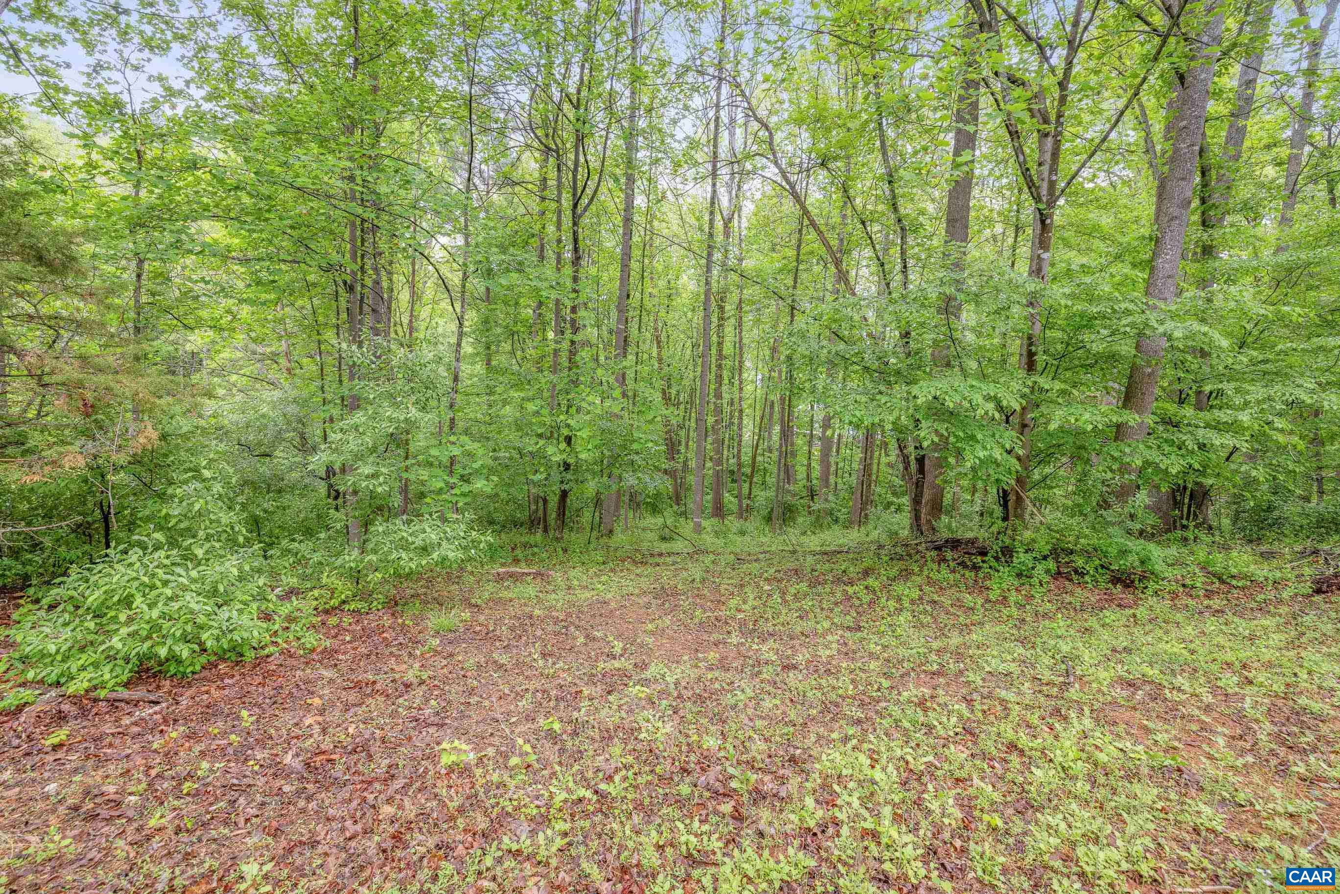 1621 SHADY GROVE CT, CHARLOTTESVILLE, Virginia 22902, 4 Bedrooms Bedrooms, ,3 BathroomsBathrooms,Residential,1621 SHADY GROVE CT,676553 MLS # 676553