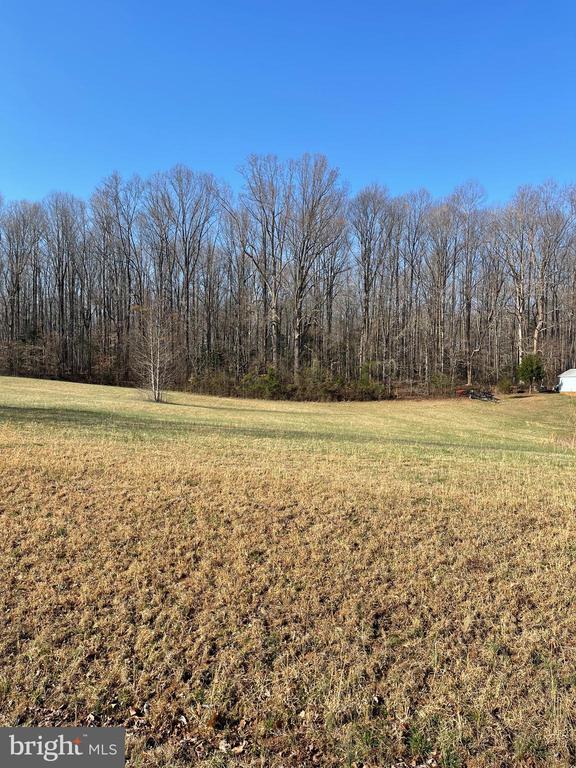 SECLUSION SHORES DR, MINERAL, Virginia 23117, ,Land,SECLUSION SHORES DR,VALA2009798 MLS # VALA2009798