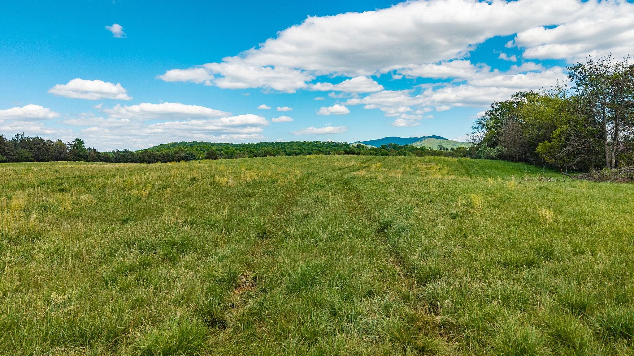 TBD HATCHERY RD, GROTTOES, Virginia 24441, ,Land,TBD HATCHERY RD,676584 MLS # 676584