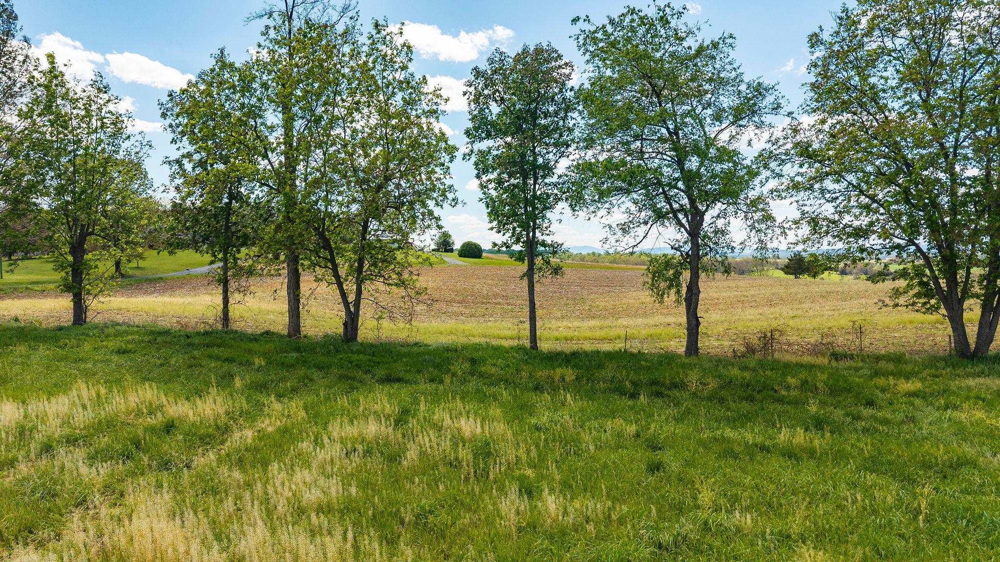 TBD HATCHERY RD, GROTTOES, Virginia 24441, ,Land,TBD HATCHERY RD,676584 MLS # 676584