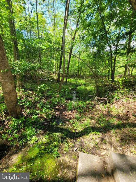 6000 HALEYS MILL RD, SPOTSYLVANIA, Virginia 22551, 3 Bedrooms Bedrooms, ,2 BathroomsBathrooms,Residential,6000 HALEYS MILL RD,VASP2041068 MLS # VASP2041068