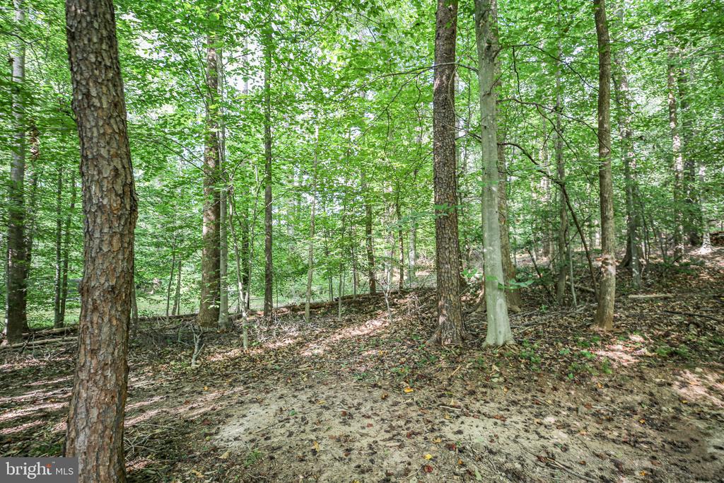 10108 WILLOW RIDGE LN, SPOTSYLVANIA, Virginia 22553, 4 Bedrooms Bedrooms, ,4 BathroomsBathrooms,Residential,10108 WILLOW RIDGE LN,VASP2041010 MLS # VASP2041010