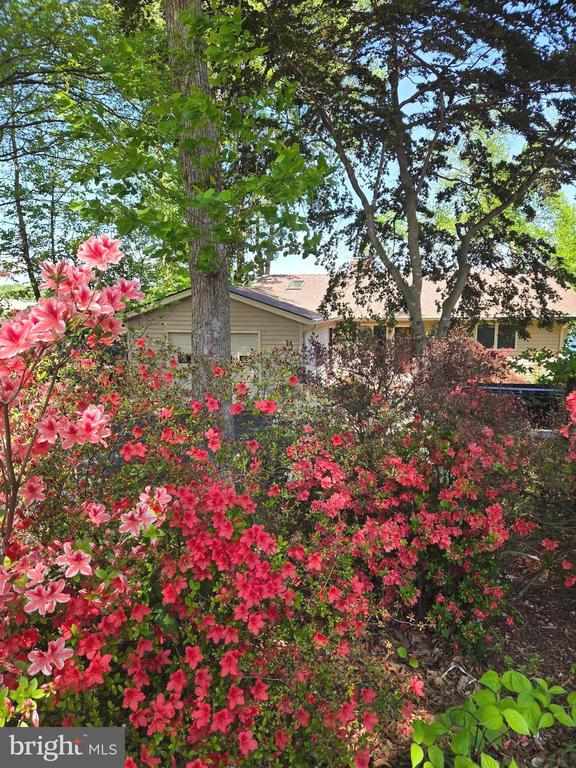 126 GREEN SPRING RD, LOCUST GROVE, Virginia 22508, 3 Bedrooms Bedrooms, ,3 BathroomsBathrooms,Residential,126 GREEN SPRING RD,VAOR2013932 MLS # VAOR2013932