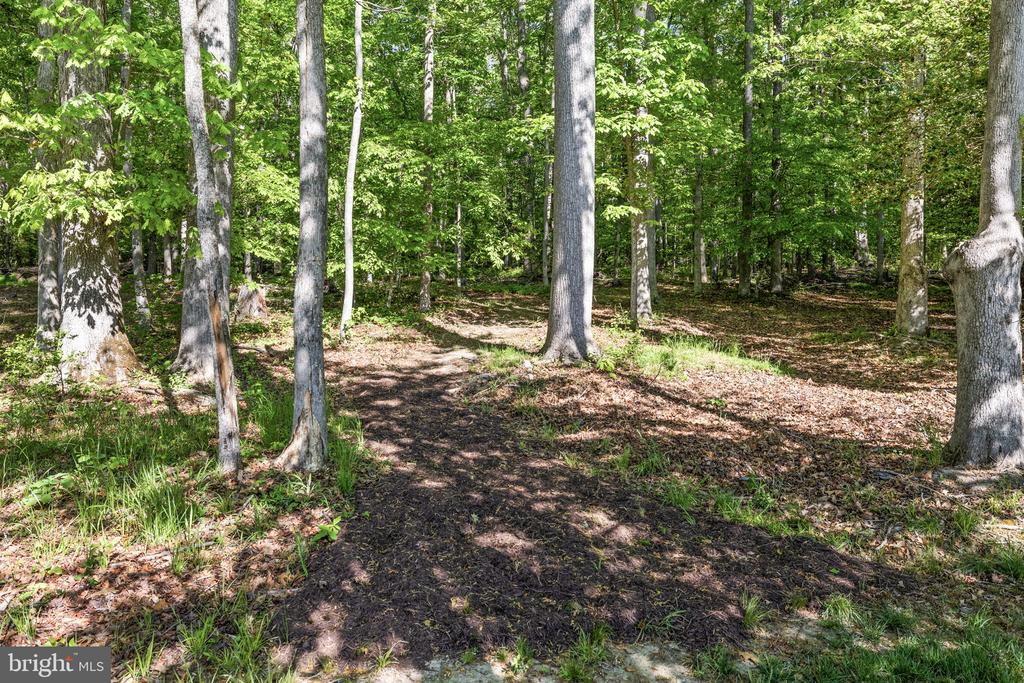 12129 SAWHILL BLVD, SPOTSYLVANIA, Virginia 22553, 5 Bedrooms Bedrooms, ,4 BathroomsBathrooms,Residential,12129 SAWHILL BLVD,VASP2041364 MLS # VASP2041364