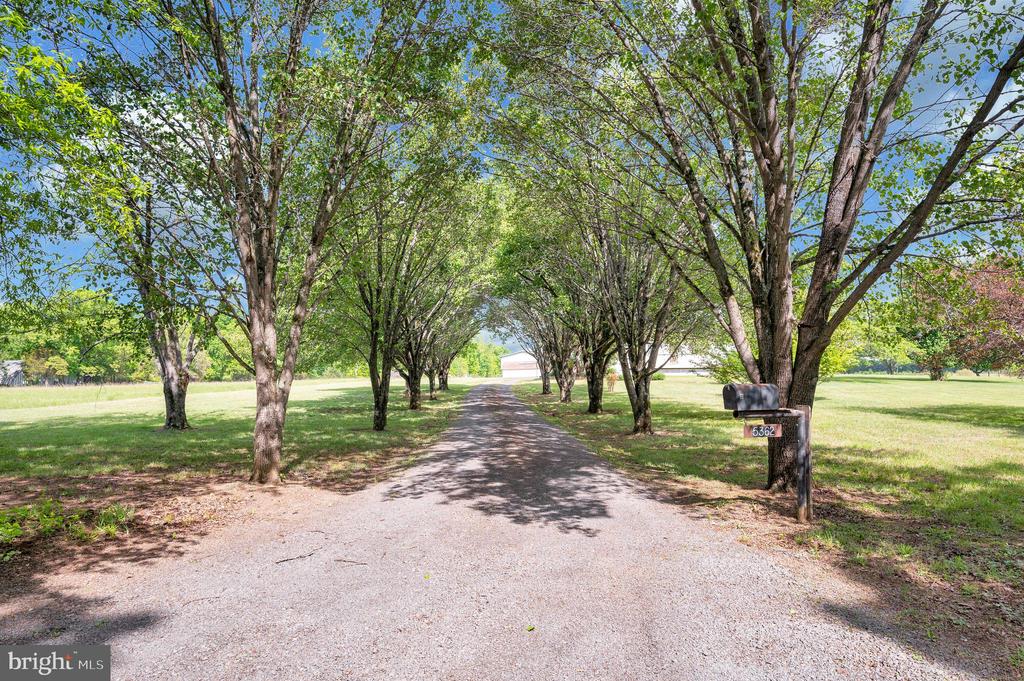 5362 TURKEY RUN RD, WARRENTON, Virginia 20187, 3 Bedrooms Bedrooms, ,2 BathroomsBathrooms,Residential,5362 TURKEY RUN RD,VAFQ2021790 MLS # VAFQ2021790