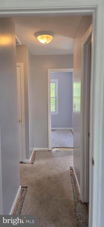 436 FOREST CT, WARRENTON, Virginia 20186, 3 Bedrooms Bedrooms, ,2 BathroomsBathrooms,Residential,436 FOREST CT,VAFQ2021820 MLS # VAFQ2021820