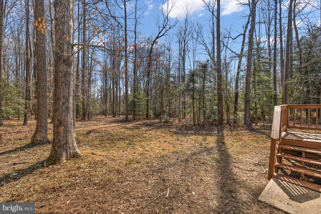 7309 RED FEATHER LN, SPOTSYLVANIA, Virginia 22551, 3 Bedrooms Bedrooms, ,2 BathroomsBathrooms,Residential,7309 RED FEATHER LN,VASP2041470 MLS # VASP2041470
