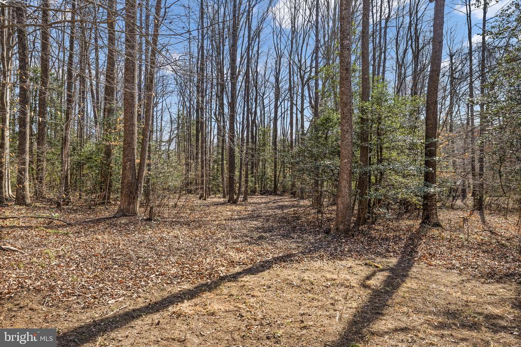 7309 RED FEATHER LN, SPOTSYLVANIA, Virginia 22551, 3 Bedrooms Bedrooms, ,2 BathroomsBathrooms,Residential,7309 RED FEATHER LN,VASP2041470 MLS # VASP2041470