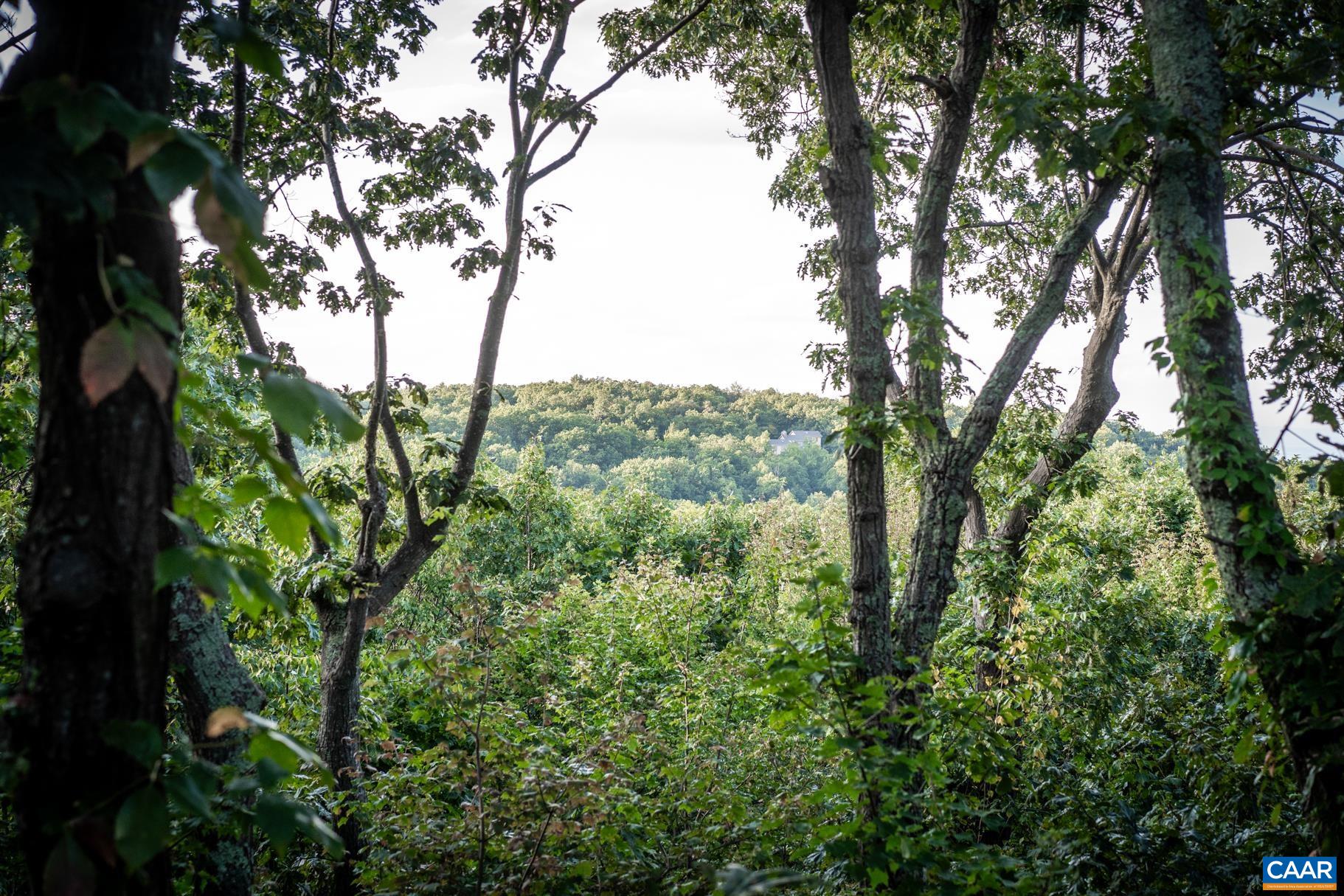 42 PEAVY PT, WINTERGREEN, Virginia 22967, 5 Bedrooms Bedrooms, ,4 BathroomsBathrooms,Residential,Thirsty Bear,42 PEAVY PT,676285 MLS # 676285