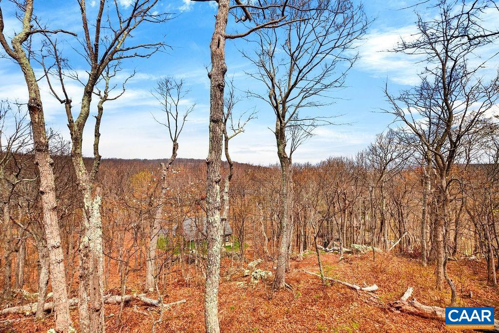 42 PEAVY PT, WINTERGREEN, Virginia 22967, 5 Bedrooms Bedrooms, ,4 BathroomsBathrooms,Residential,Thirsty Bear,42 PEAVY PT,676285 MLS # 676285