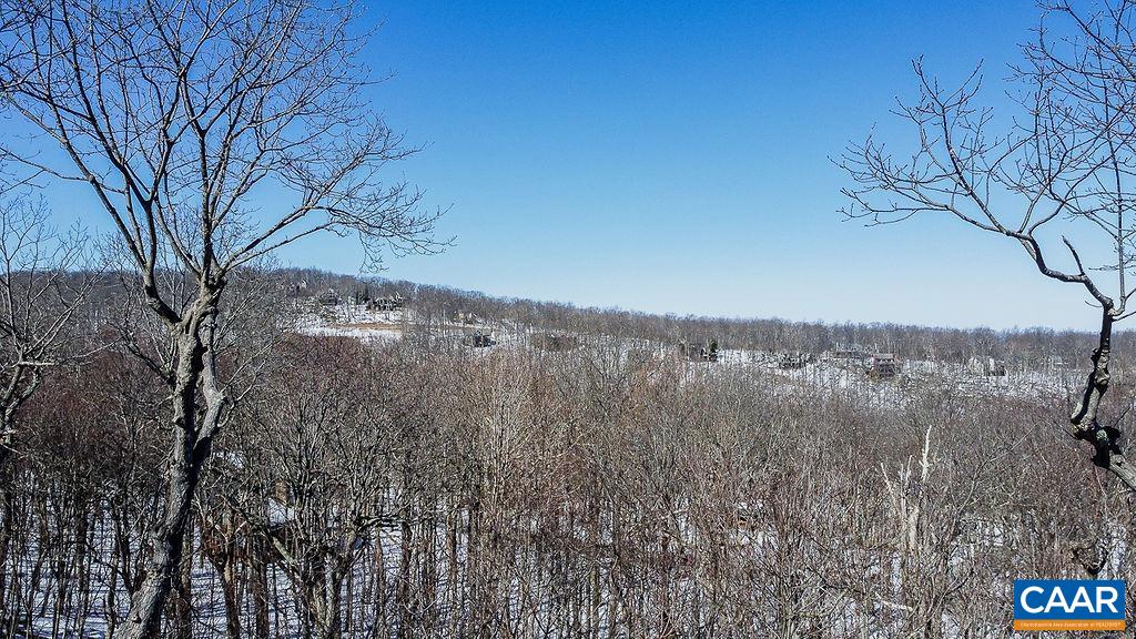 42 PEAVY PT, WINTERGREEN, Virginia 22967, 5 Bedrooms Bedrooms, ,4 BathroomsBathrooms,Residential,Thirsty Bear,42 PEAVY PT,676285 MLS # 676285