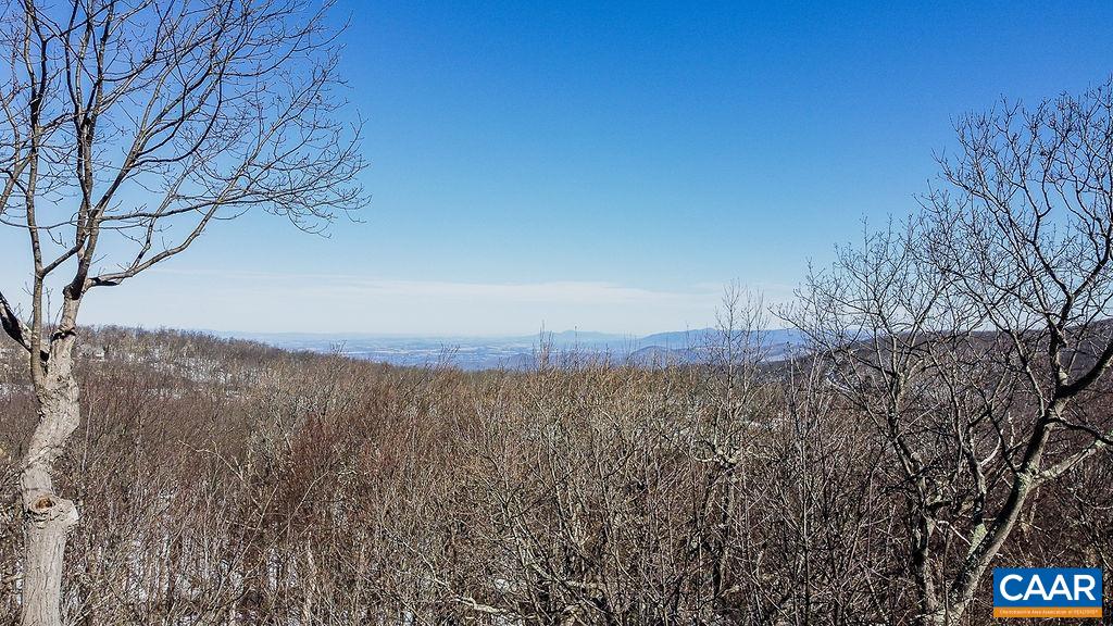 42 PEAVY PT, WINTERGREEN, Virginia 22967, 5 Bedrooms Bedrooms, ,4 BathroomsBathrooms,Residential,Thirsty Bear,42 PEAVY PT,676285 MLS # 676285