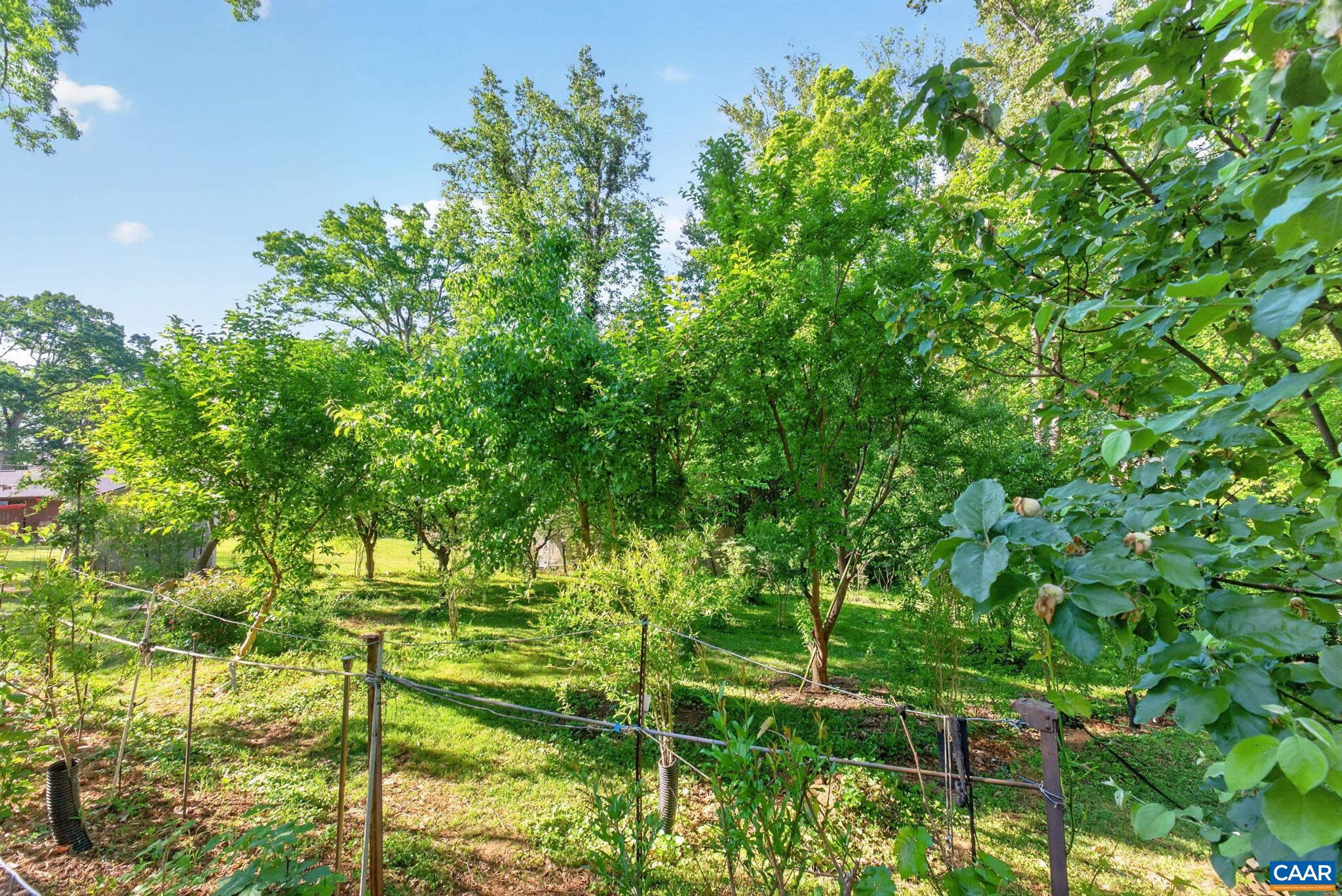 2417 ANGUS RD, CHARLOTTESVILLE, Virginia 22901, 4 Bedrooms Bedrooms, ,2 BathroomsBathrooms,Residential,2417 ANGUS RD,676505 MLS # 676505