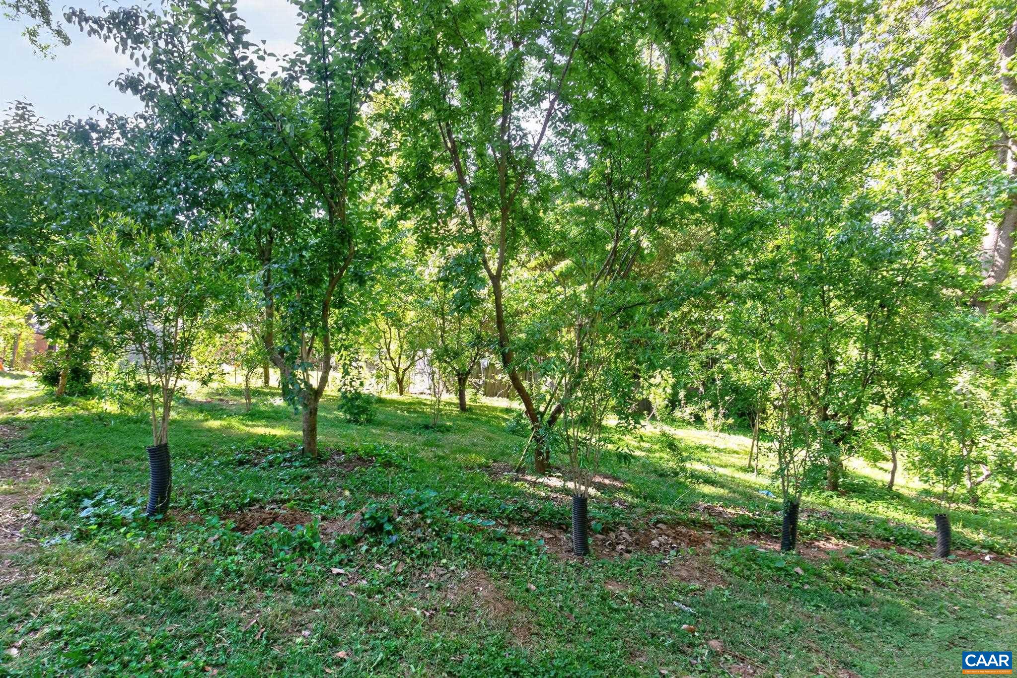 2417 ANGUS RD, CHARLOTTESVILLE, Virginia 22901, 4 Bedrooms Bedrooms, ,2 BathroomsBathrooms,Residential,2417 ANGUS RD,676505 MLS # 676505