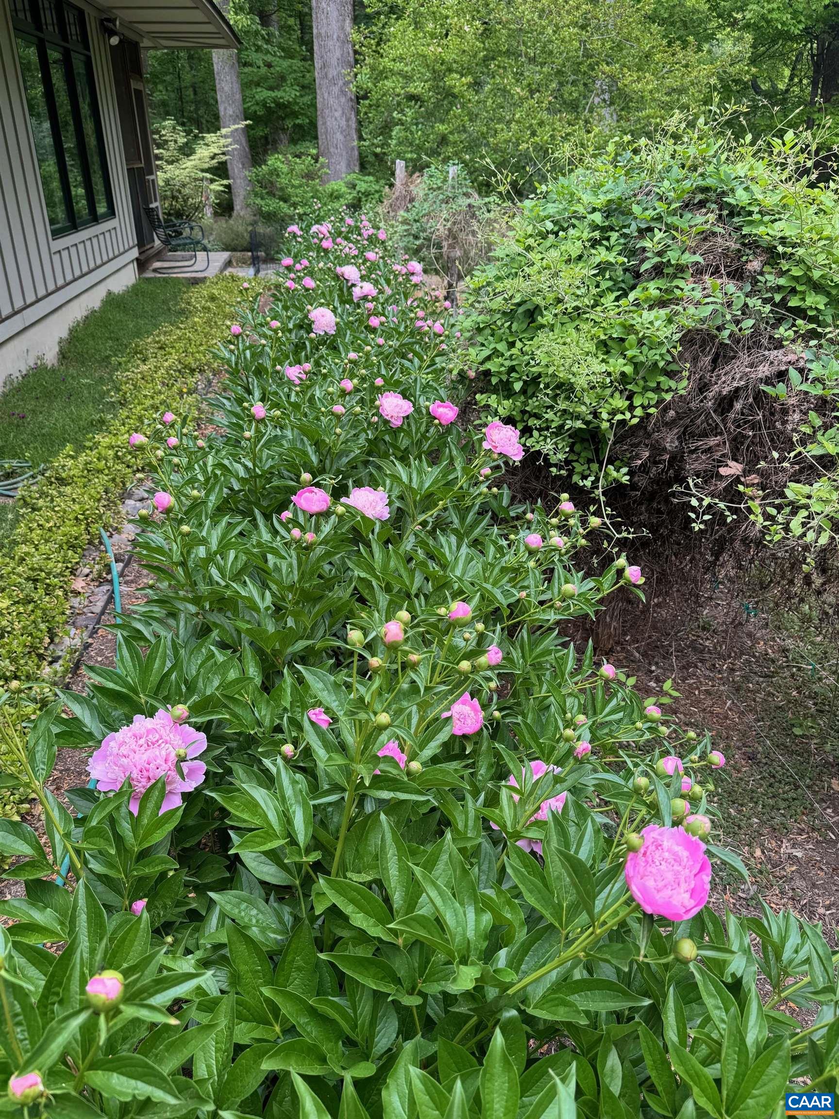 889 OLD GARTH RD, CHARLOTTESVILLE, Virginia 22901, 3 Bedrooms Bedrooms, ,2 BathroomsBathrooms,Residential,889 OLD GARTH RD,676570 MLS # 676570