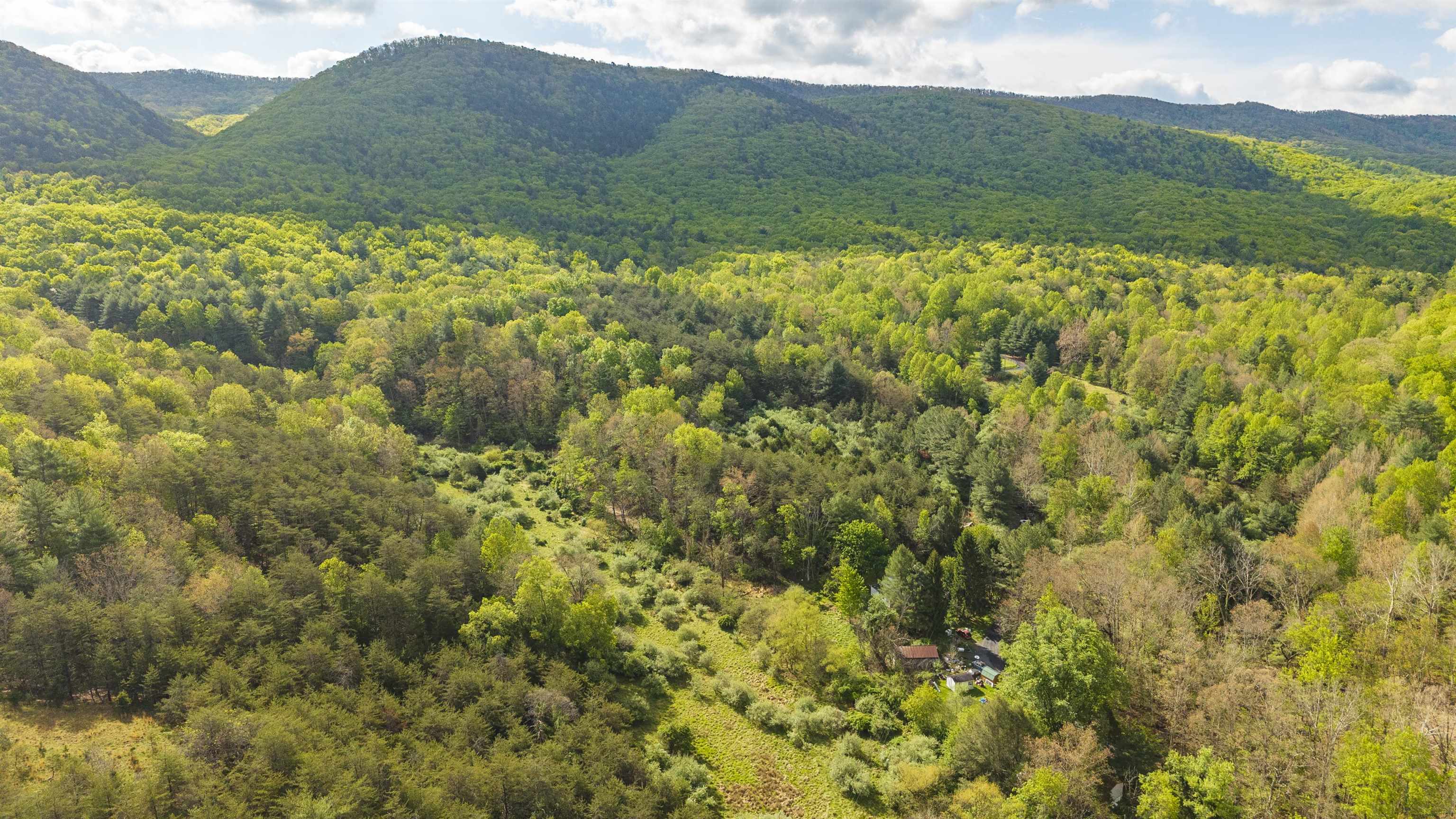 161 GLOVER RUN, GOSHEN, Virginia 24439, ,Farm,161 GLOVER RUN,676631 MLS # 676631