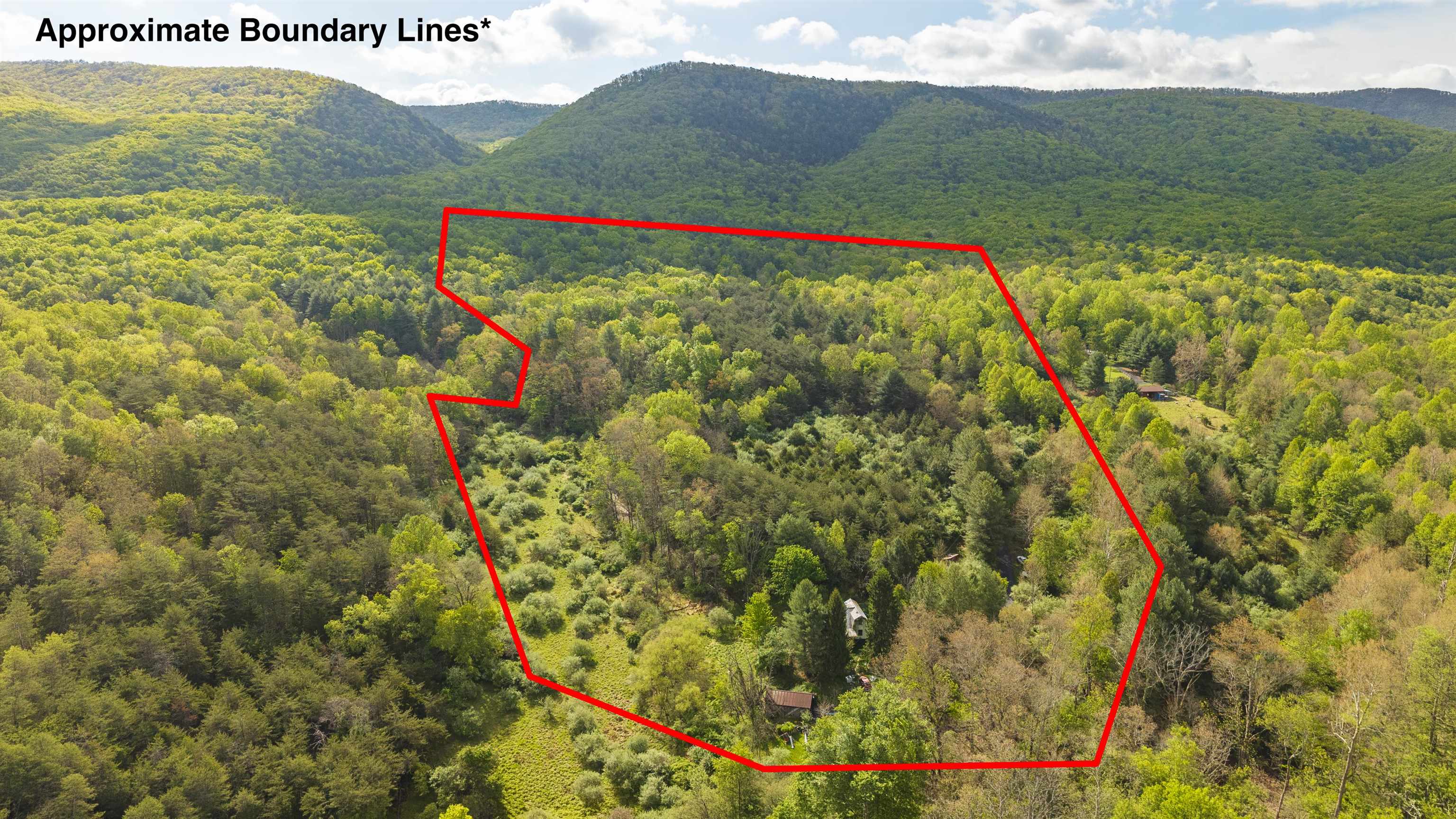 161 GLOVER RUN, GOSHEN, Virginia 24439, ,Farm,161 GLOVER RUN,676631 MLS # 676631