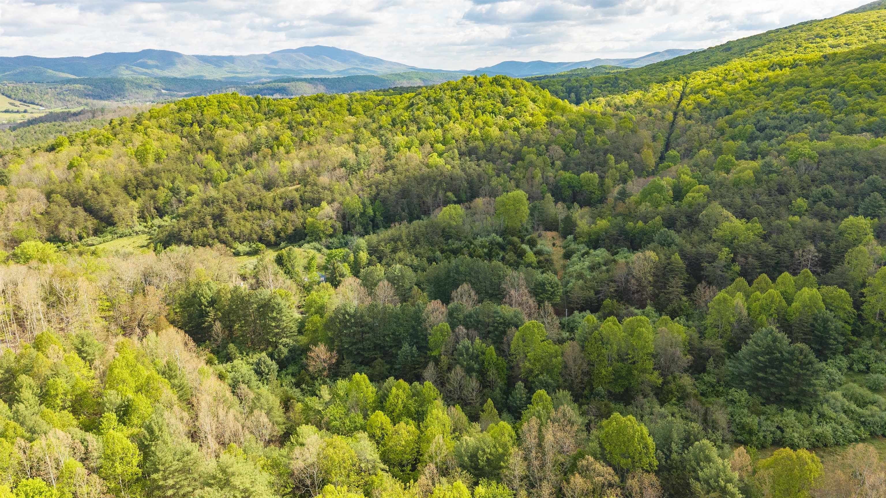 161 GLOVER RUN, GOSHEN, Virginia 24439, ,Farm,161 GLOVER RUN,676631 MLS # 676631