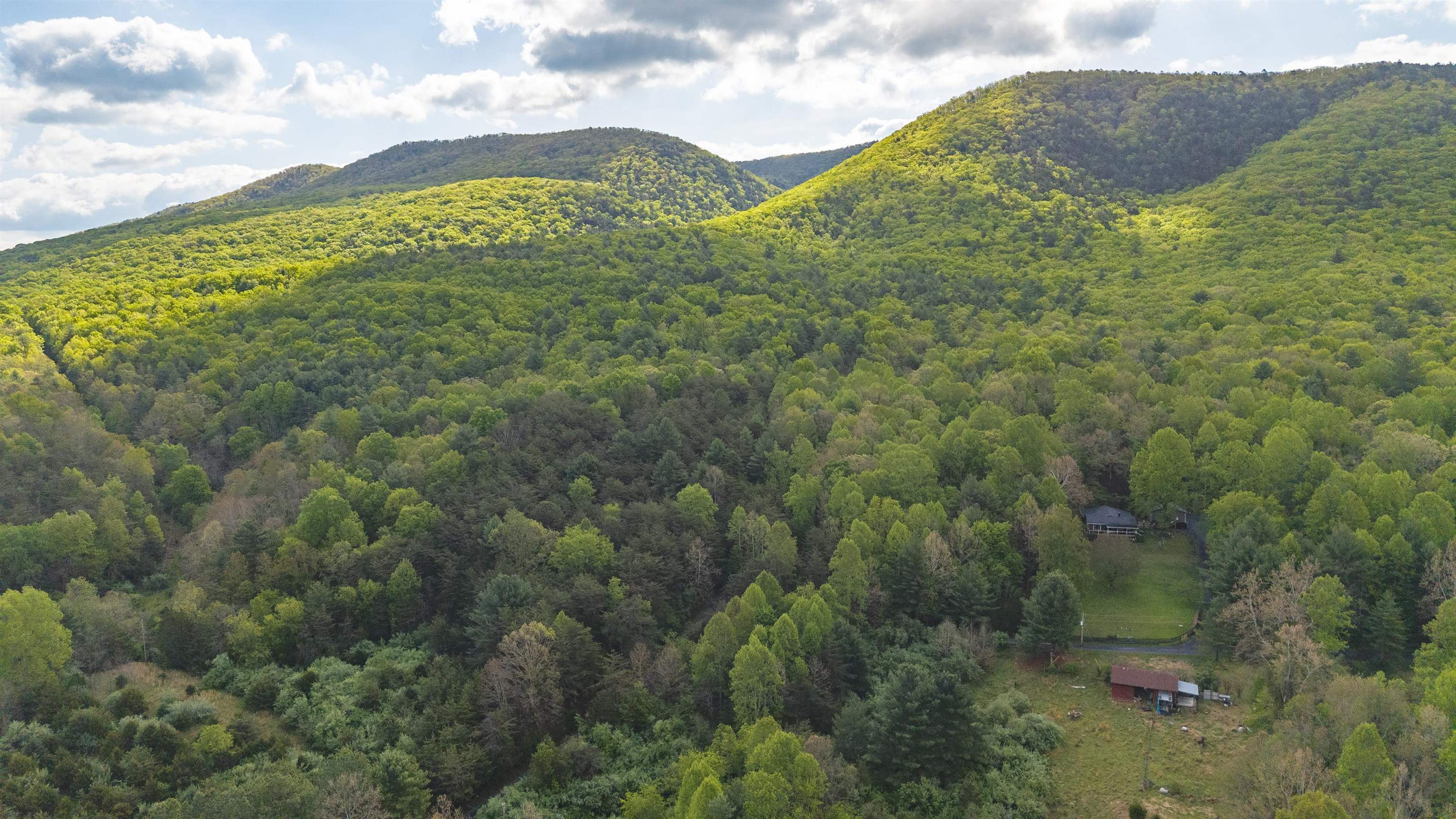 161 GLOVER RUN, GOSHEN, Virginia 24439, ,Farm,161 GLOVER RUN,676631 MLS # 676631