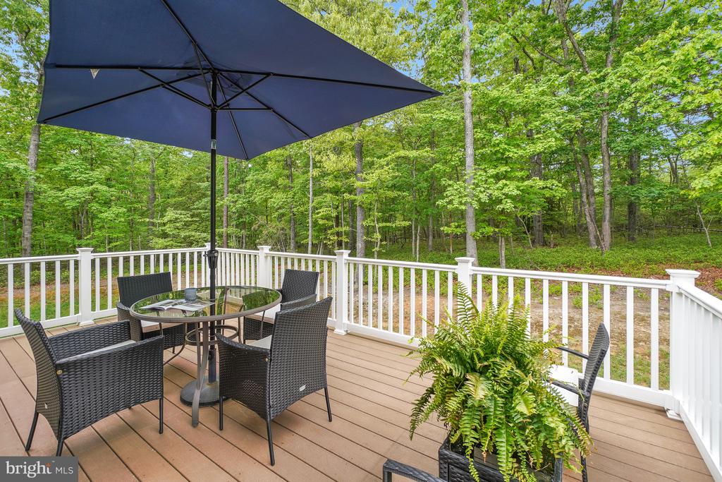 8524 LAROQUE RUN DR, FREDERICKSBURG, Virginia 22407, 6 Bedrooms Bedrooms, ,5 BathroomsBathrooms,Residential,8524 LAROQUE RUN DR,VASP2041508 MLS # VASP2041508
