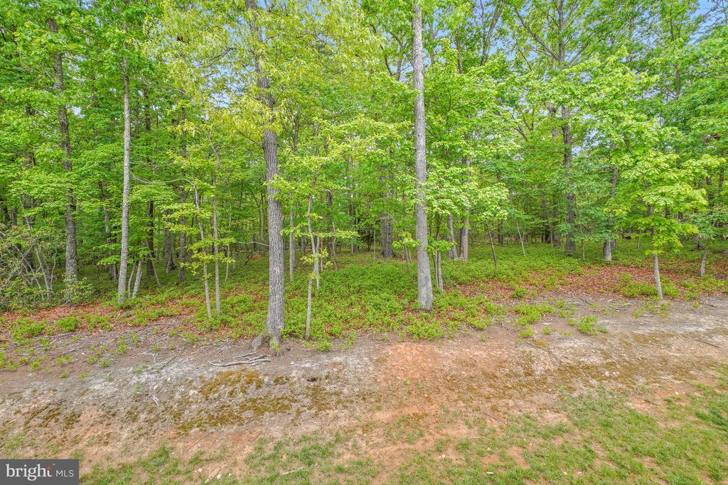 8524 LAROQUE RUN DR, FREDERICKSBURG, Virginia 22407, 6 Bedrooms Bedrooms, ,5 BathroomsBathrooms,Residential,8524 LAROQUE RUN DR,VASP2041508 MLS # VASP2041508