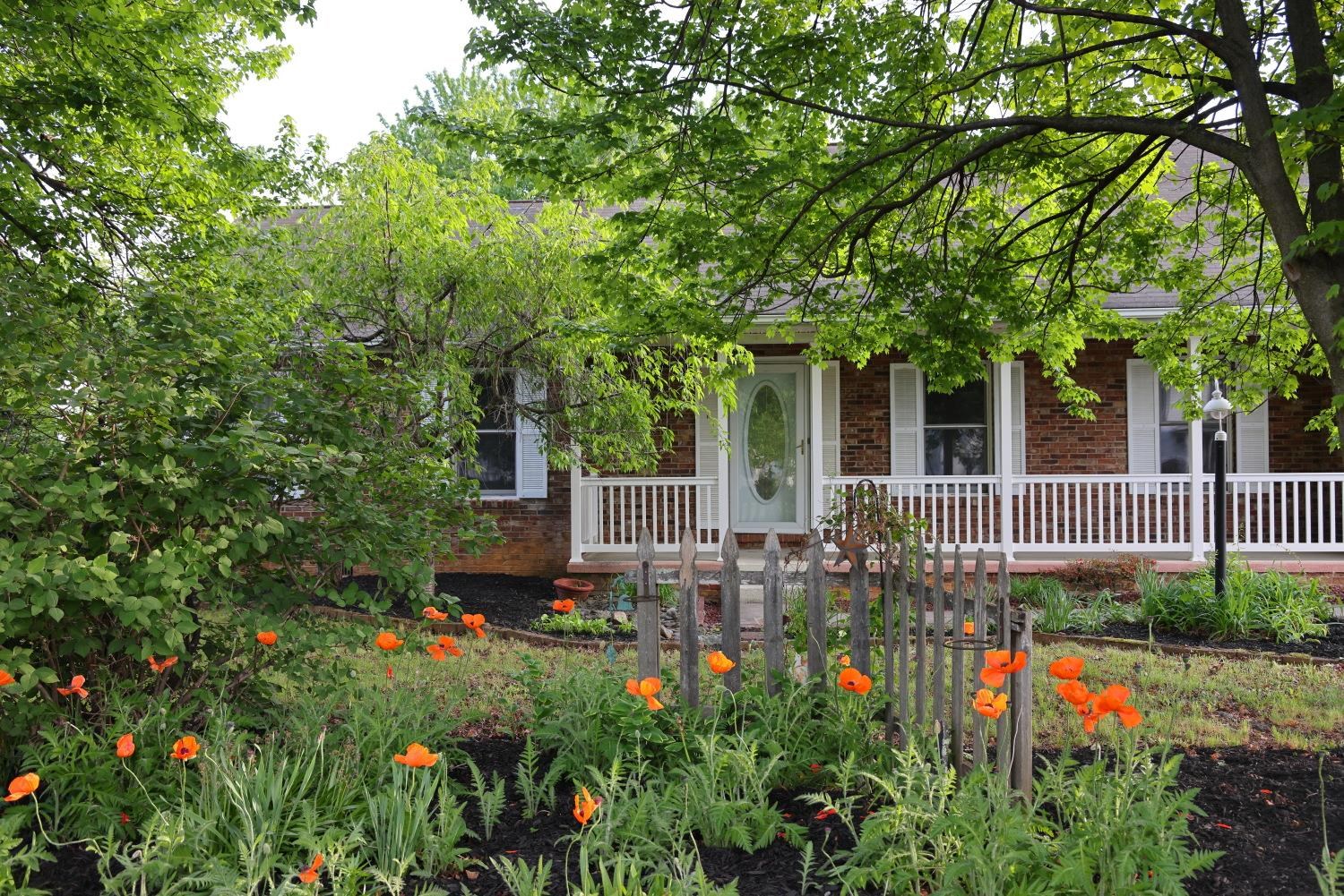 Front yard is popping with color