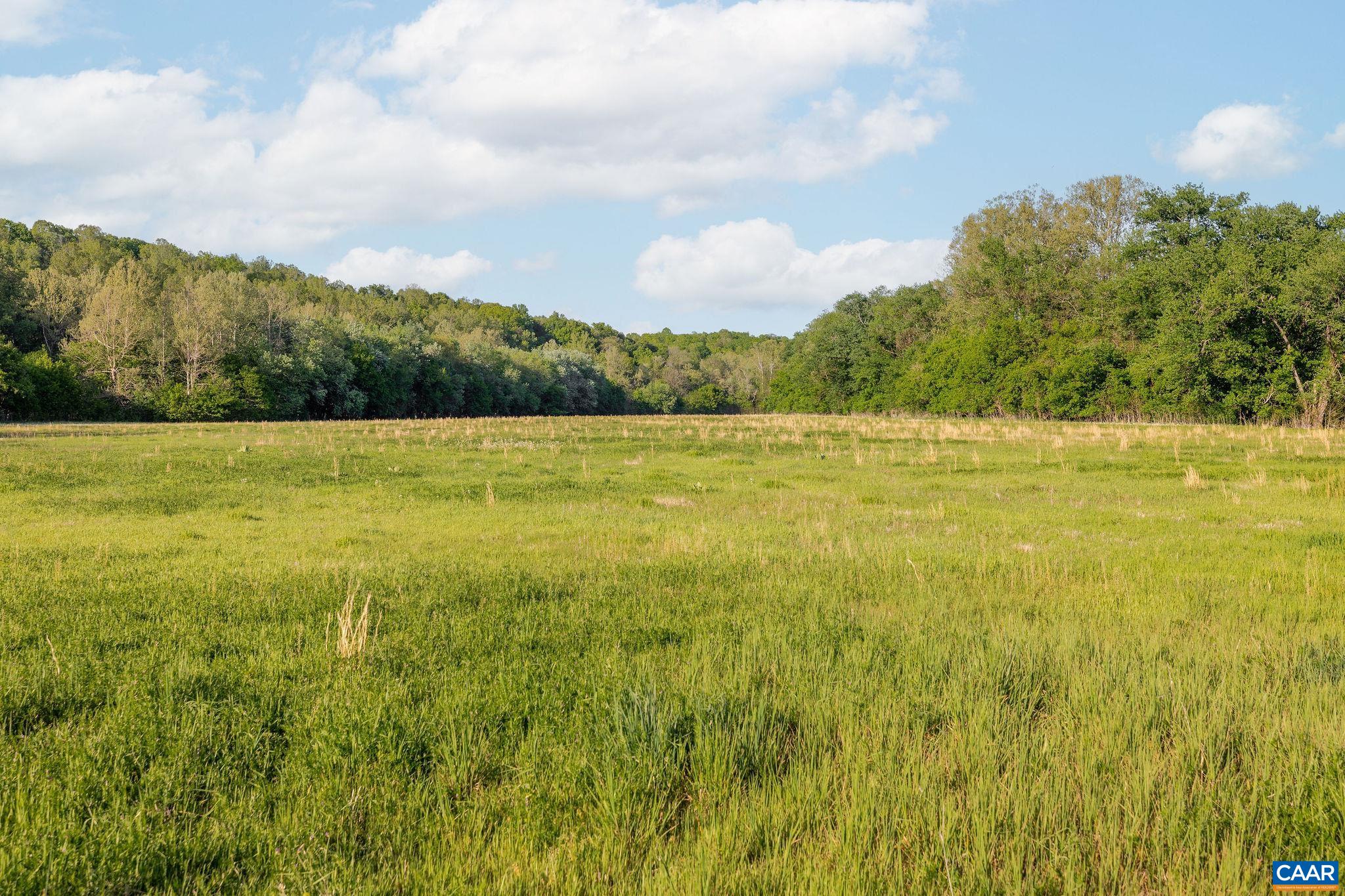 137 acres JAMES RIVER RD, HOWARDSVILLE, Virginia 24562, ,Farm,137 acres JAMES RIVER RD,676506 MLS # 676506