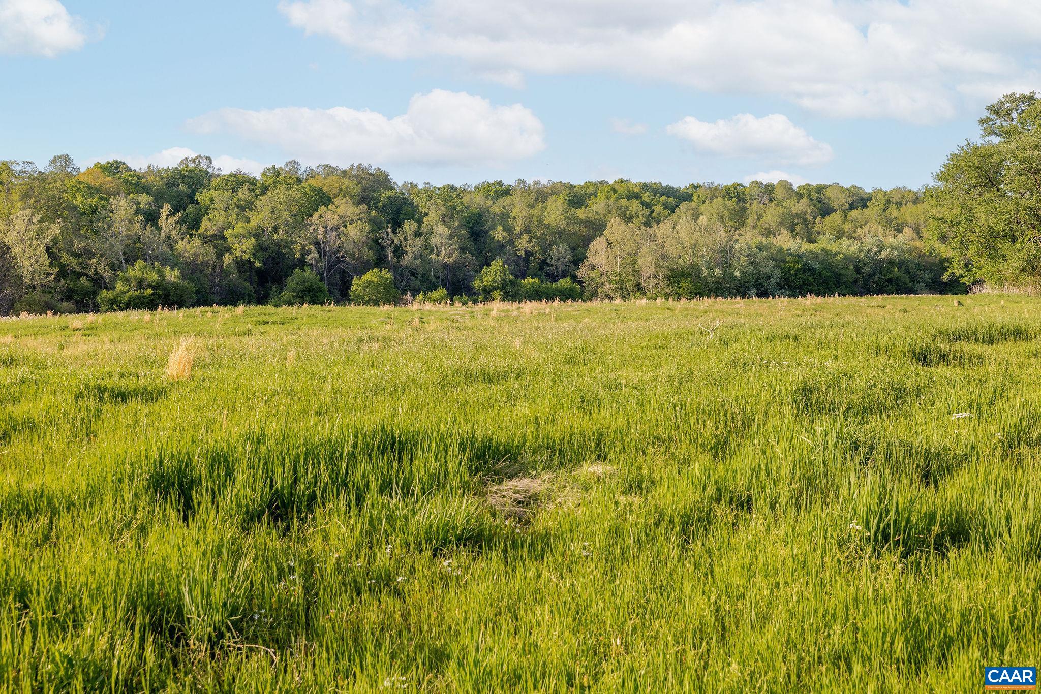 137 acres JAMES RIVER RD, HOWARDSVILLE, Virginia 24562, ,Farm,137 acres JAMES RIVER RD,676506 MLS # 676506