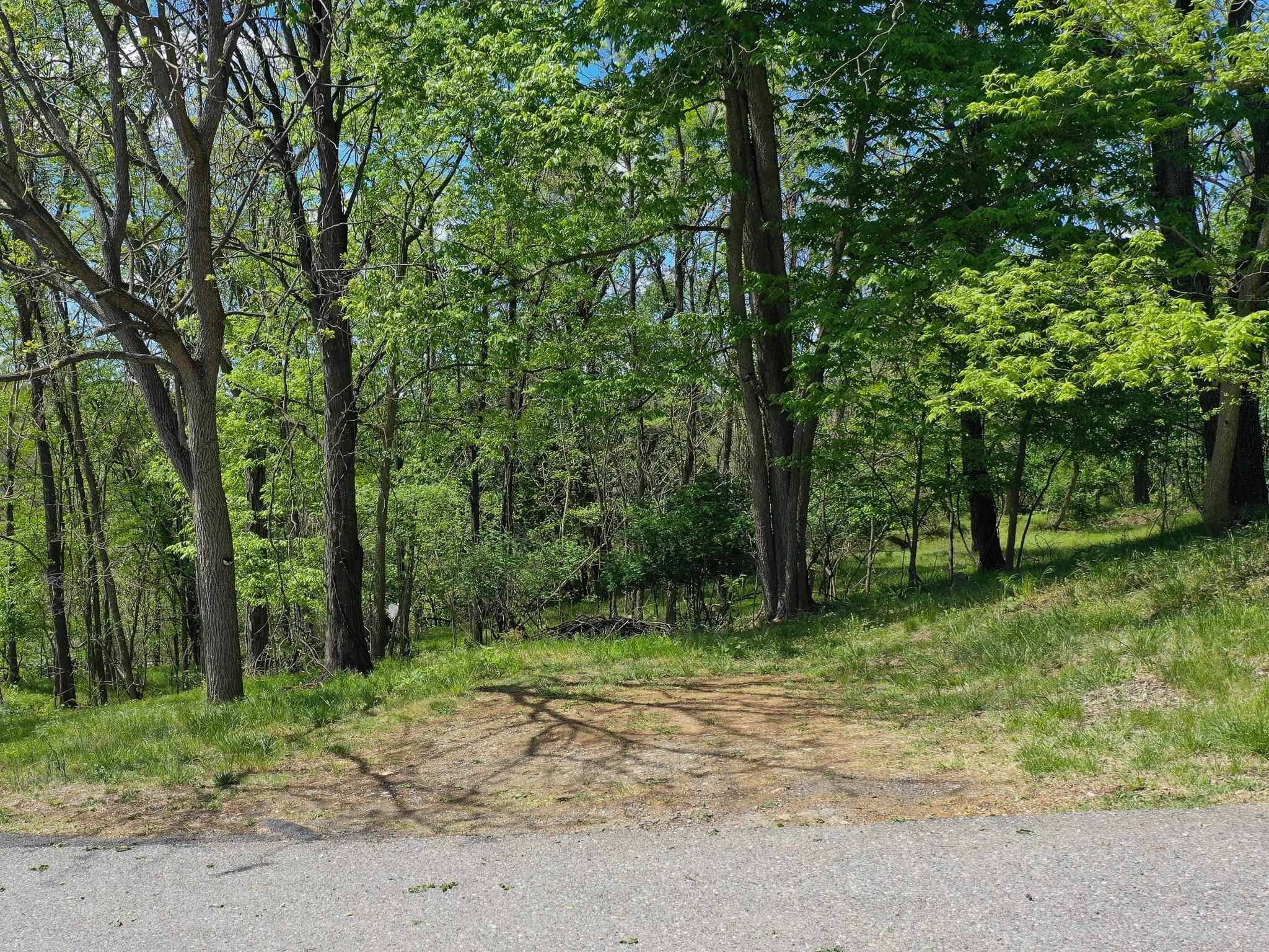 422 JERSEY ST, STAUNTON, Virginia 24401, ,Land,422 JERSEY ST,676637 MLS # 676637