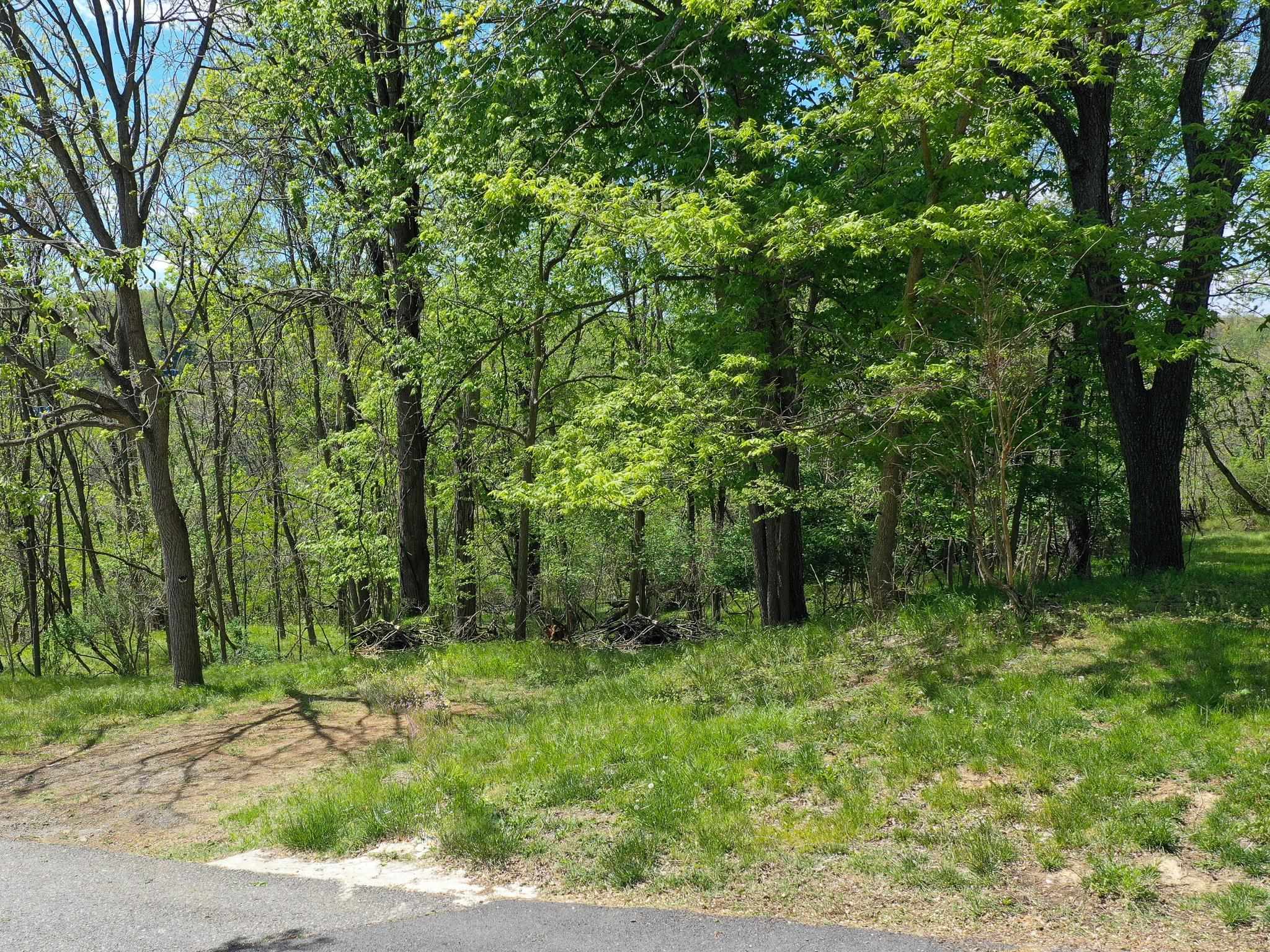422 JERSEY ST, STAUNTON, Virginia 24401, ,Land,422 JERSEY ST,676637 MLS # 676637