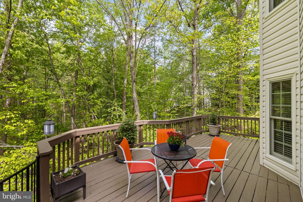 13004 CRESTED CT, FREDERICKSBURG, Virginia 22408, 4 Bedrooms Bedrooms, ,2 BathroomsBathrooms,Residential,13004 CRESTED CT,VASP2040126 MLS # VASP2040126