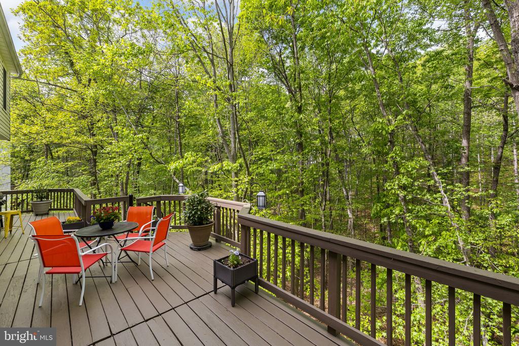 13004 CRESTED CT, FREDERICKSBURG, Virginia 22408, 4 Bedrooms Bedrooms, ,2 BathroomsBathrooms,Residential,13004 CRESTED CT,VASP2040126 MLS # VASP2040126