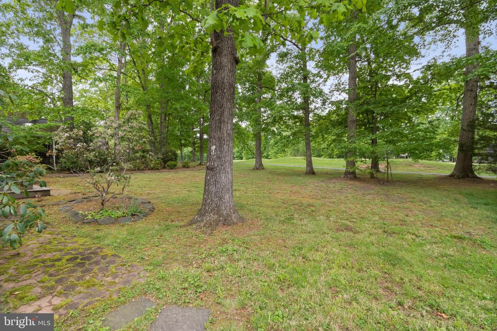210 LIMESTONE LN, LOCUST GROVE, Virginia 22508, 5 Bedrooms Bedrooms, ,2 BathroomsBathrooms,Residential,210 LIMESTONE LN,VAOR2014010 MLS # VAOR2014010