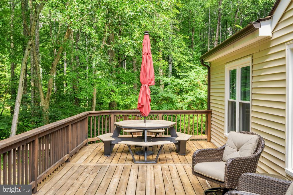 3937 BREAKNOCK RD, BUMPASS, Virginia 23024, 3 Bedrooms Bedrooms, ,2 BathroomsBathrooms,Residential,3937 BREAKNOCK RD,VASP2041532 MLS # VASP2041532