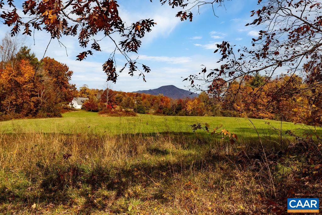 325 OLD ROSELAND RD, ROSELAND, Virginia 22967, 5 Bedrooms Bedrooms, ,3 BathroomsBathrooms,Residential,Possum Trot,325 OLD ROSELAND RD,670821 MLS # 670821