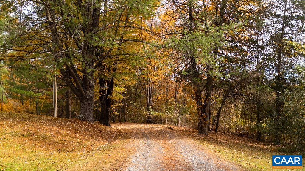 325 OLD ROSELAND RD, ROSELAND, Virginia 22967, 5 Bedrooms Bedrooms, ,3 BathroomsBathrooms,Residential,Possum Trot,325 OLD ROSELAND RD,670821 MLS # 670821