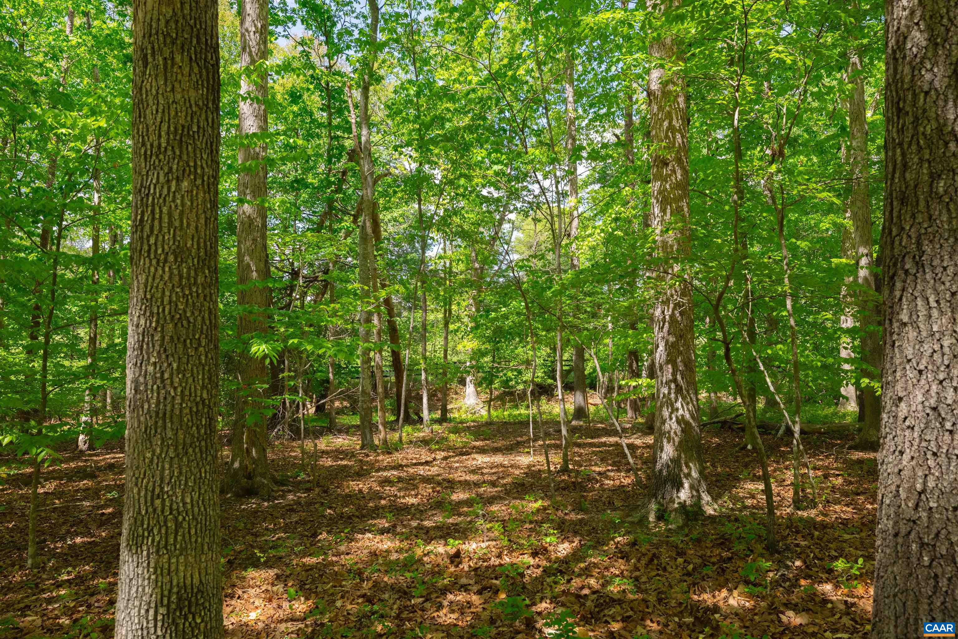 TBD KESWICK LN, KESWICK, Virginia 22947, ,Land,TBD KESWICK LN,676649 MLS # 676649