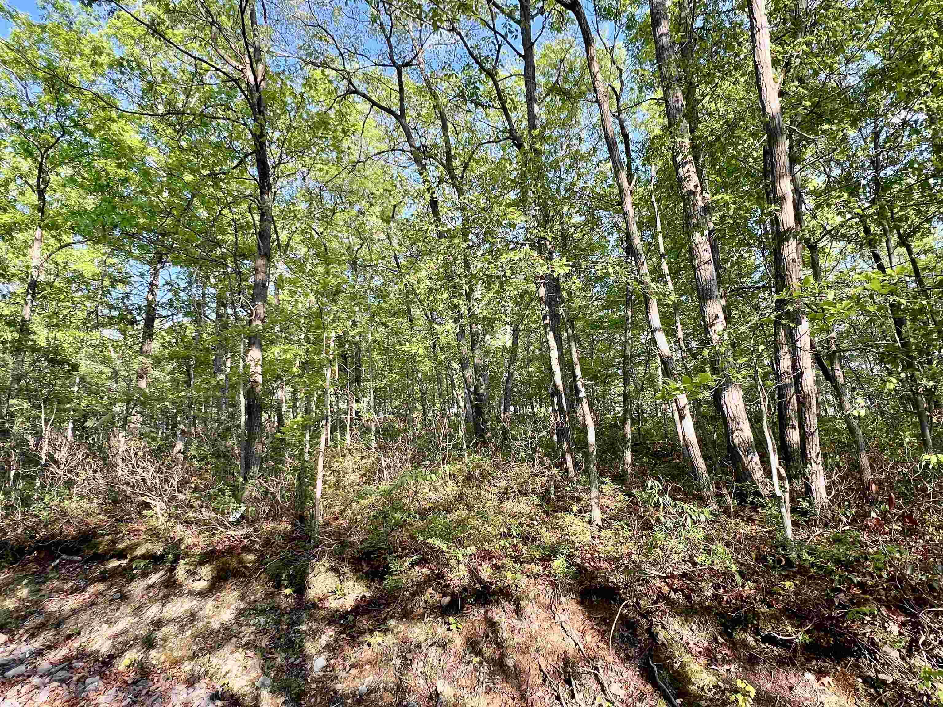 LOT#18 SCENIC HILLS DR, WAYNESBORO, Virginia 22980, ,Land,LOT#18 SCENIC HILLS DR,676658 MLS # 676658