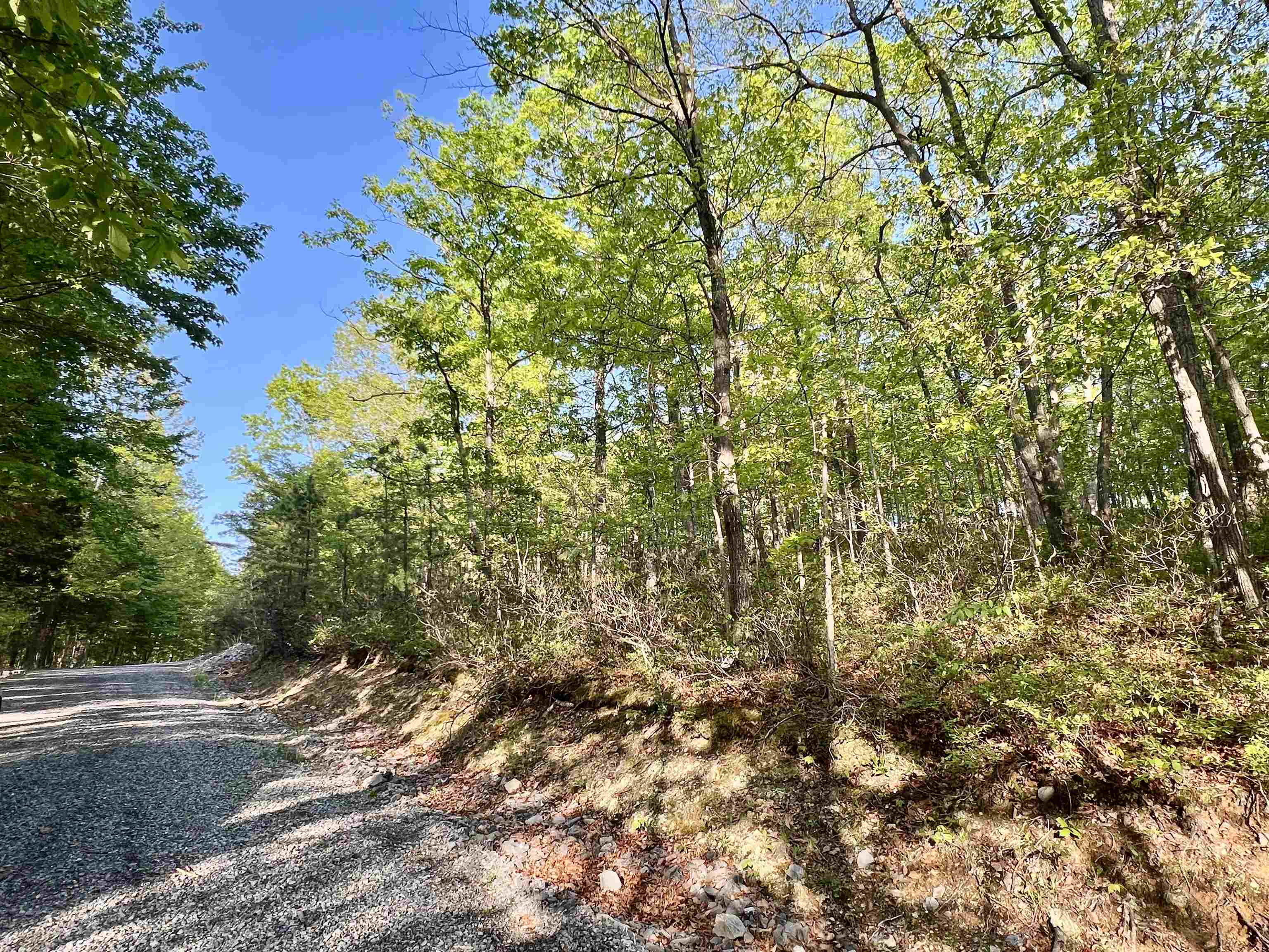 LOT#18 SCENIC HILLS DR, WAYNESBORO, Virginia 22980, ,Land,LOT#18 SCENIC HILLS DR,676658 MLS # 676658