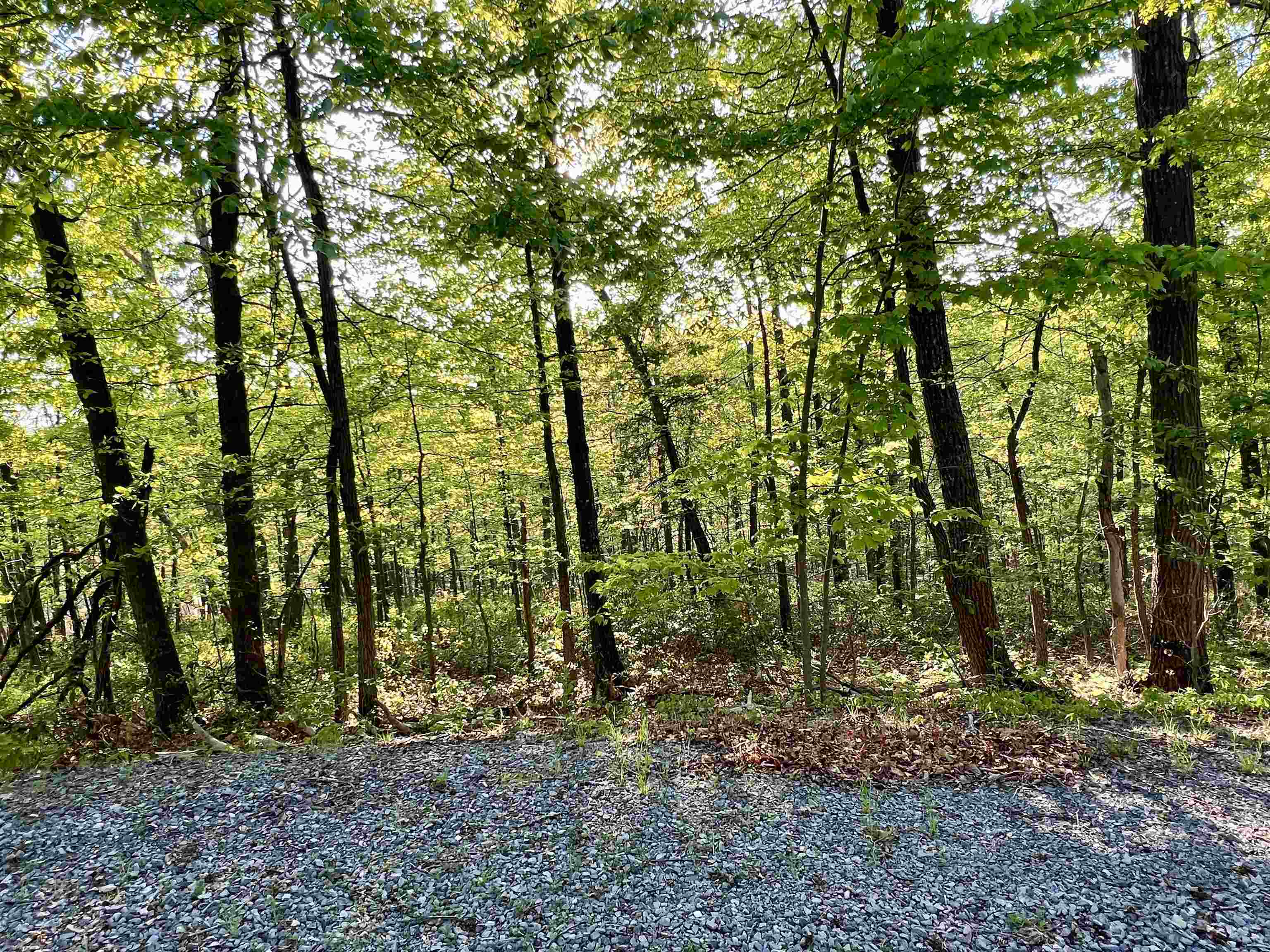 LOT#18 SCENIC HILLS DR, WAYNESBORO, Virginia 22980, ,Land,LOT#18 SCENIC HILLS DR,676658 MLS # 676658