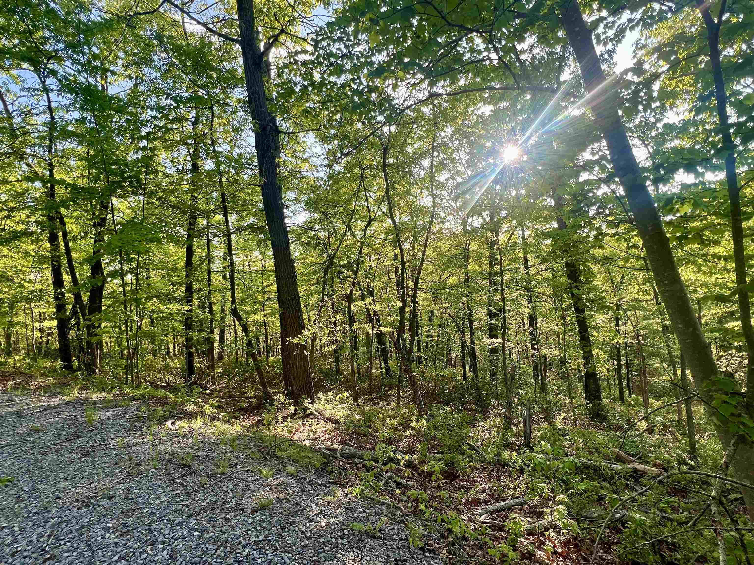 LOT#18 SCENIC HILLS DR, WAYNESBORO, Virginia 22980, ,Land,LOT#18 SCENIC HILLS DR,676658 MLS # 676658