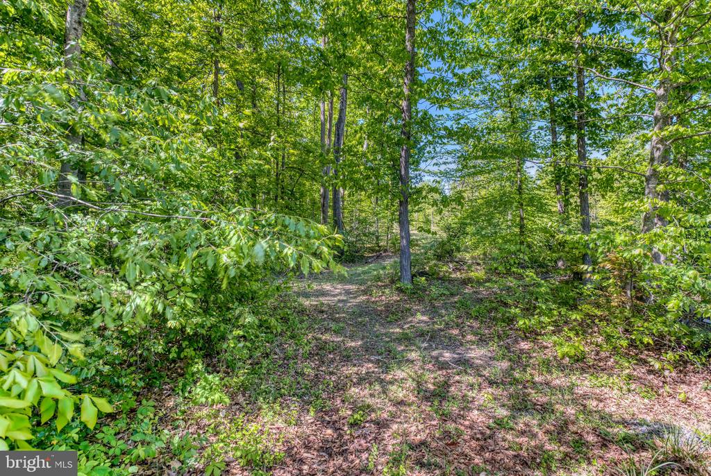 8427 TALL OAK DR, CULPEPER, Virginia 22701, 2 Bedrooms Bedrooms, ,2 BathroomsBathrooms,Residential,8427 TALL OAK DR,VACU2013502 MLS # VACU2013502