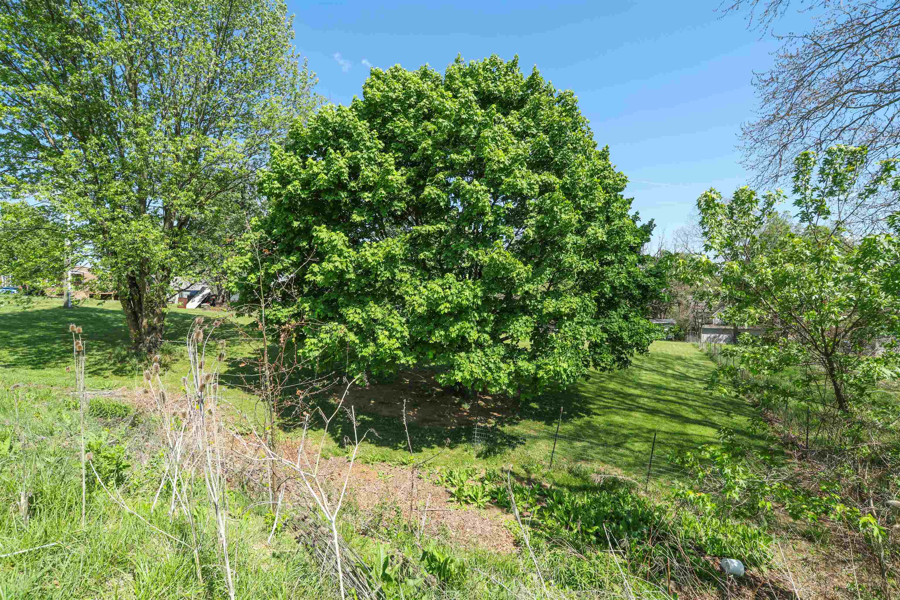 5336 HARPINE HWY, LINVILLE, Virginia 22834, 4 Bedrooms Bedrooms, ,2 BathroomsBathrooms,Residential,5336 HARPINE HWY,676642 MLS # 676642
