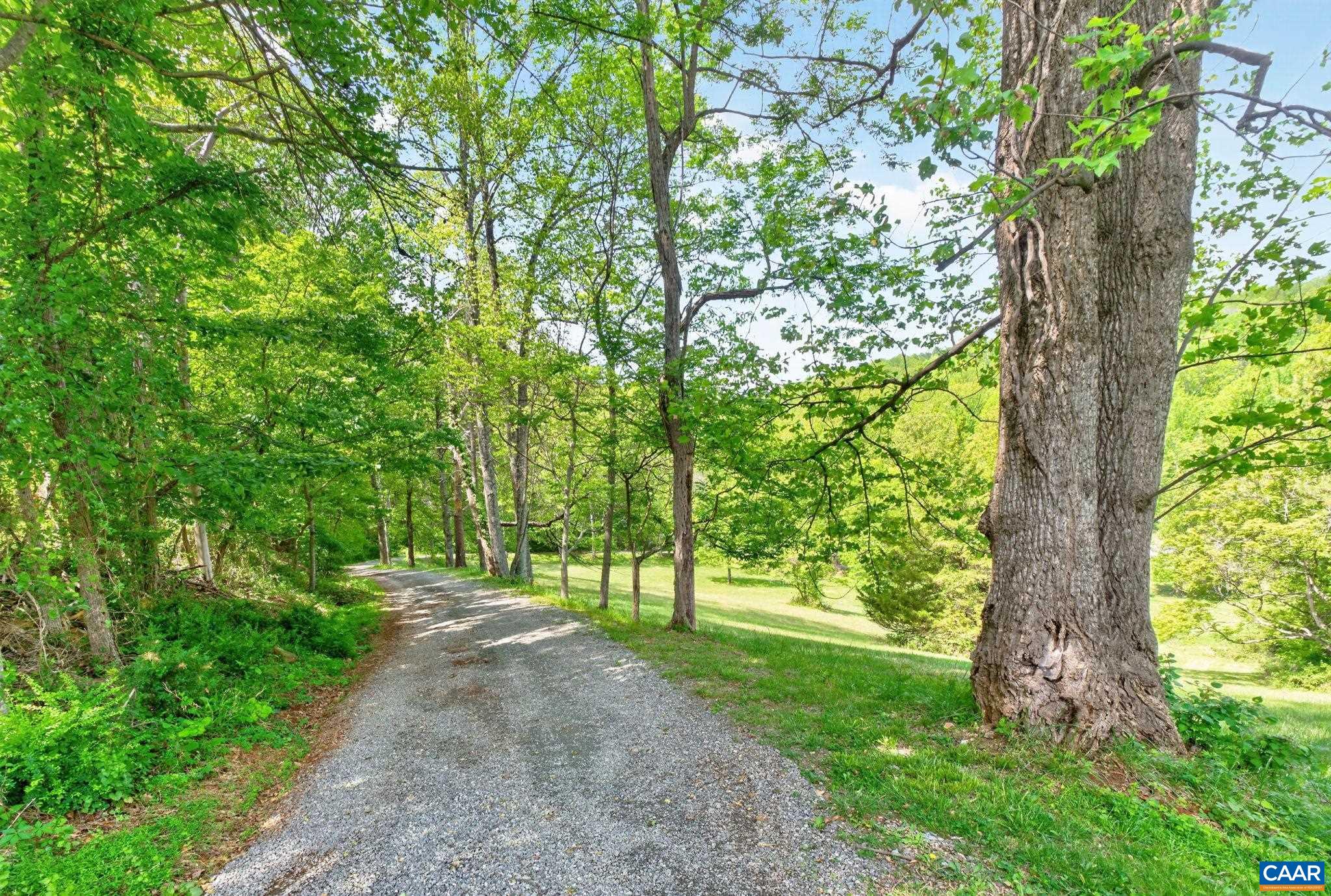 5407 TURKEY SAG RD, KESWICK, Virginia 22947, 3 Bedrooms Bedrooms, ,2 BathroomsBathrooms,Residential,5407 TURKEY SAG RD,676645 MLS # 676645