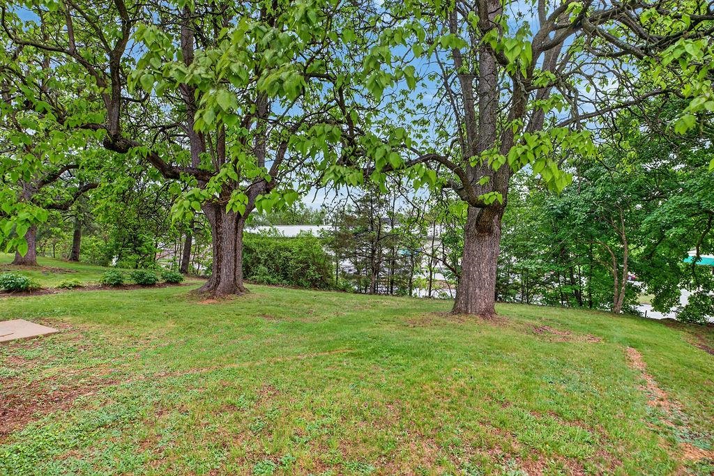 23 MONTROSE DR, FISHERSVILLE, Virginia 22939, 3 Bedrooms Bedrooms, ,1 BathroomBathrooms,Residential,23 MONTROSE DR,676654 MLS # 676654