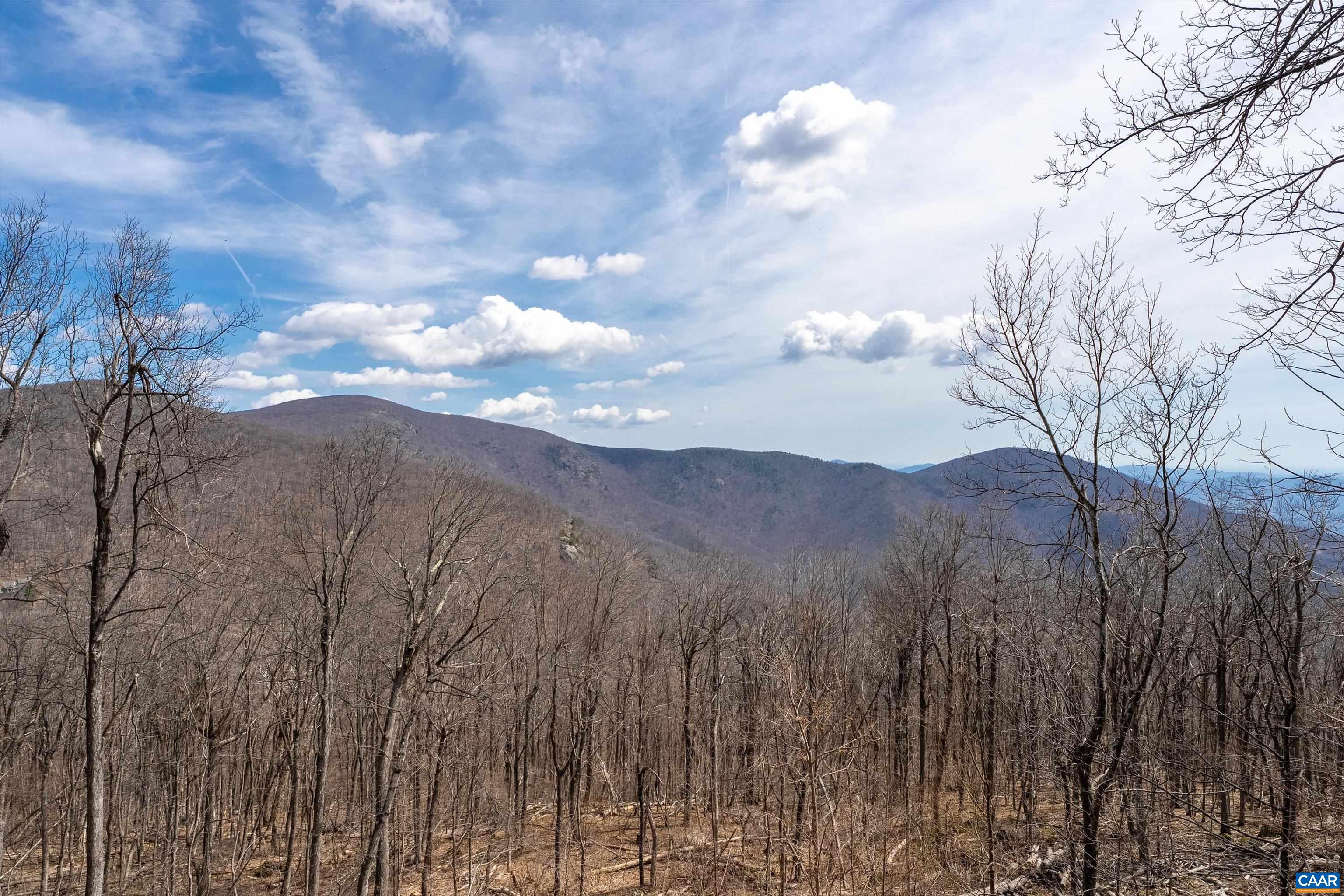 327 CRAWFORDS EDGE, ROSELAND, Virginia 22967, 4 Bedrooms Bedrooms, ,4 BathroomsBathrooms,Residential,327 CRAWFORDS EDGE,676051 MLS # 676051