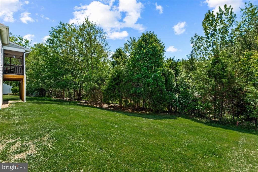 632 WINDERMERE, CULPEPER, Virginia 22701, 4 Bedrooms Bedrooms, ,3 BathroomsBathrooms,Residential,632 WINDERMERE,VACU2013480 MLS # VACU2013480