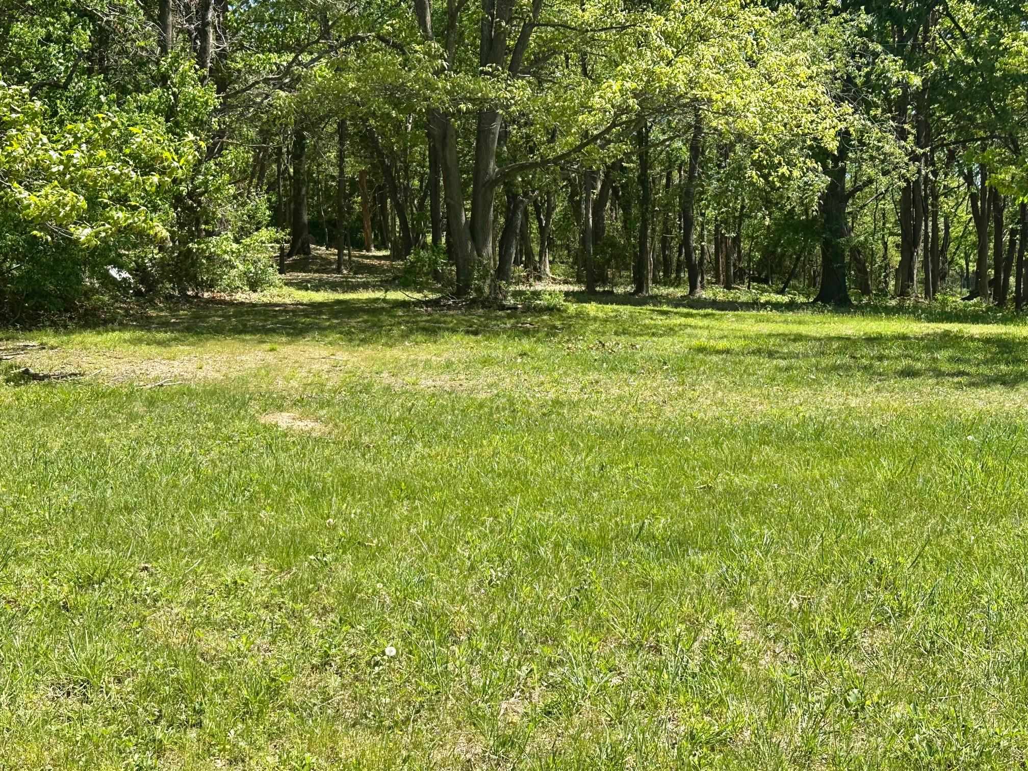 79 ROCKY LN, STUARTS DRAFT, Virginia 24477, 3 Bedrooms Bedrooms, ,1 BathroomBathrooms,Residential,79 Rocky Lane, Stuarts Draft, VA,79 ROCKY LN,676672 MLS # 676672